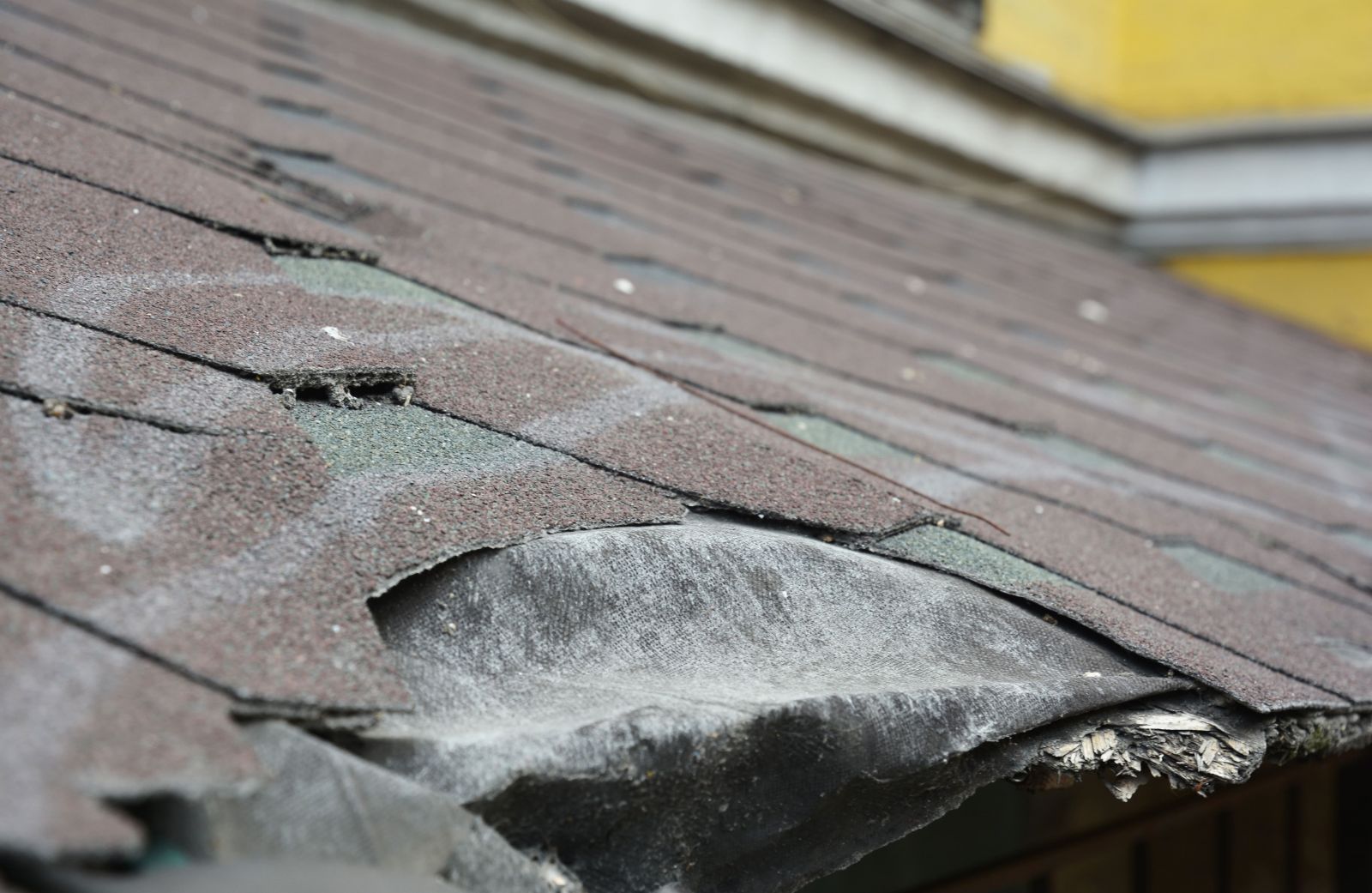 Maryland Roofing, Siding & Windows, LLC Images